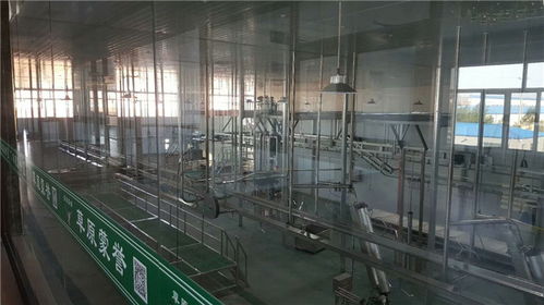 年屠宰10萬只不費勁！這家肉羊屠宰設備廠家直供方案，成本直降30%
